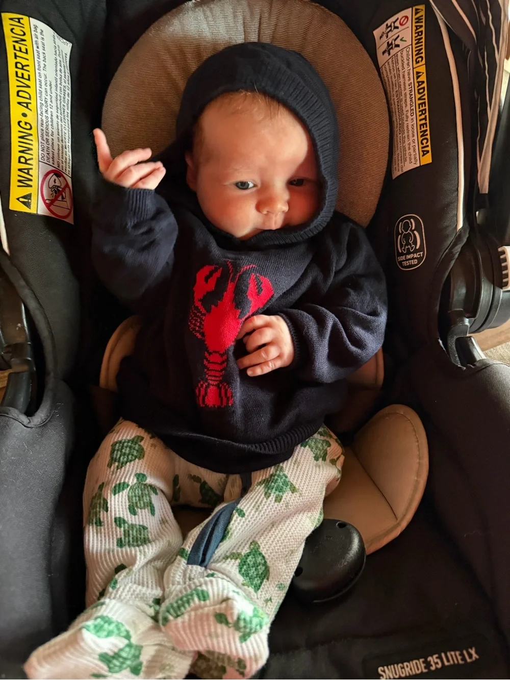 Kids Navy Hoodie with Red Lobster Motif